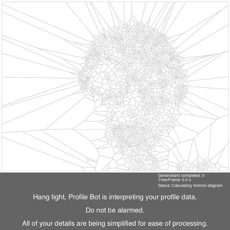participant voronoi image