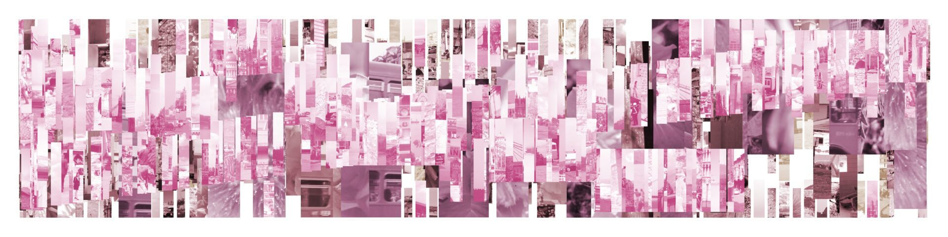 wide landscape print showing data visualization of amount of pink in slide archive