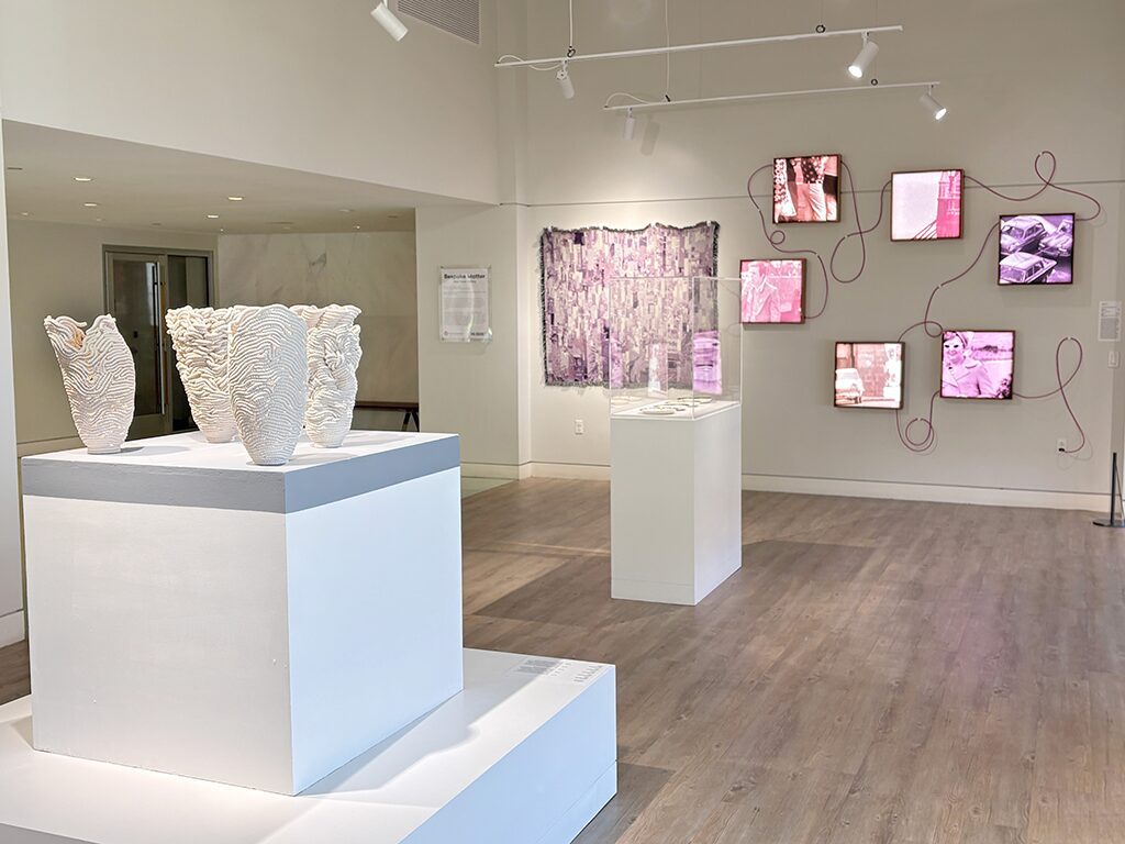 Chromatographic Landscapes Digital Weavings